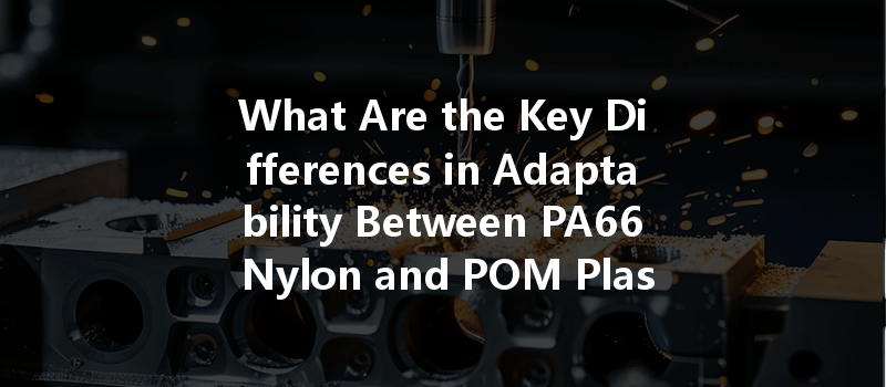 What Are the Key Differences in Adaptability Between PA66 Nylon and POM Plastic in CNC Machining?